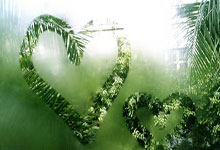 苹果cms模板微乐家乡麻将下载攻略：快速上手指南与常见问题解析苹果cms