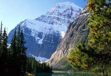 苹果cms模板哈灵麻将高手进阶攻略：从入门到精通的实战技巧指南苹果cms